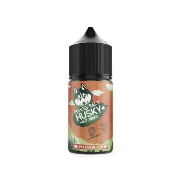 Жидкость Husky salt Mint series Water Place (Арбуз холодок) (30 мл, 20 мг/мл) в Ростове-на-Дону